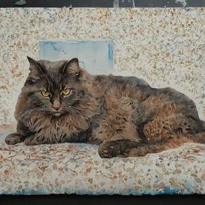 7.5x7.5in Cozy Cat print out